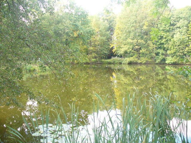 File:Schlosspark Boernicke - See (Lake in Boernicke Palace Park) - geo.hlipp.de - 29032.jpg