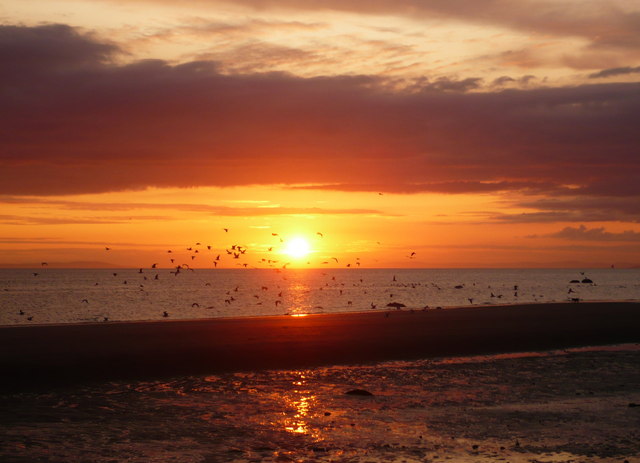 File:Sunset and gulls from Girvan beach - geograph.org.uk - 1437996.jpg