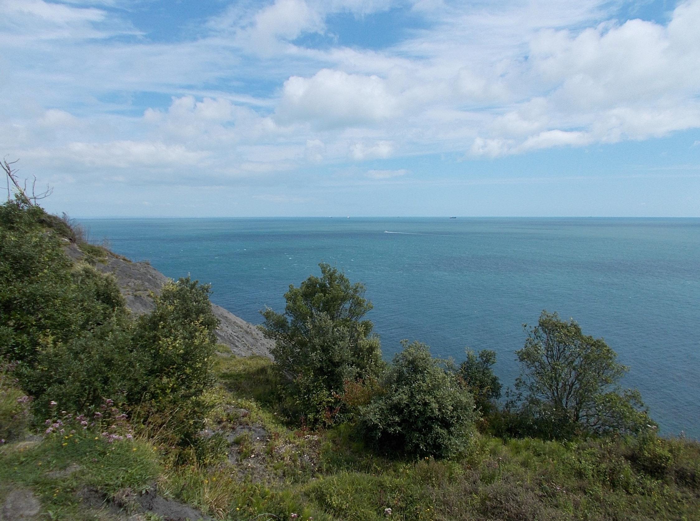 Bonchurch Landslips