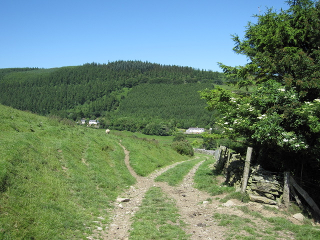 File:Track below Fron Hen - geograph.org.uk - 1371308.jpg