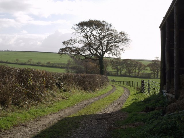 File:Track near Hele - geograph.org.uk - 609352.jpg