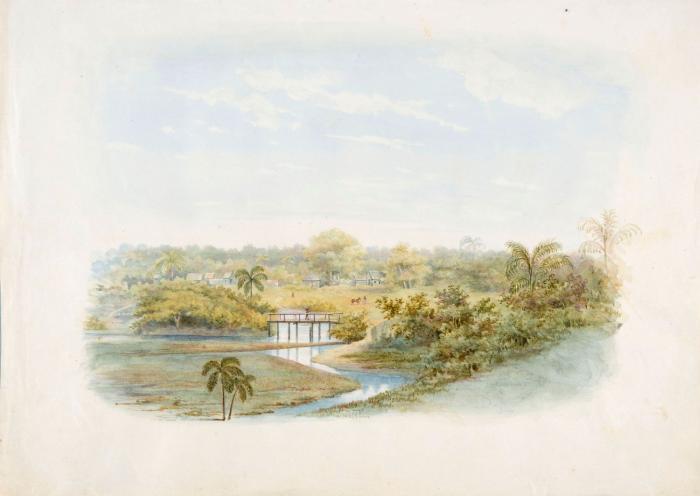 File:Tropenmuseum Royal Tropical Institute Objectnumber H-3405 Aquarel voorstellende gezicht op een pl.jpg