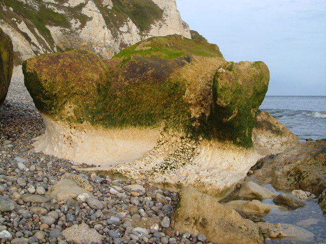 File:Wavecut rock, Hooken Beach - geograph.org.uk - 242397.jpg