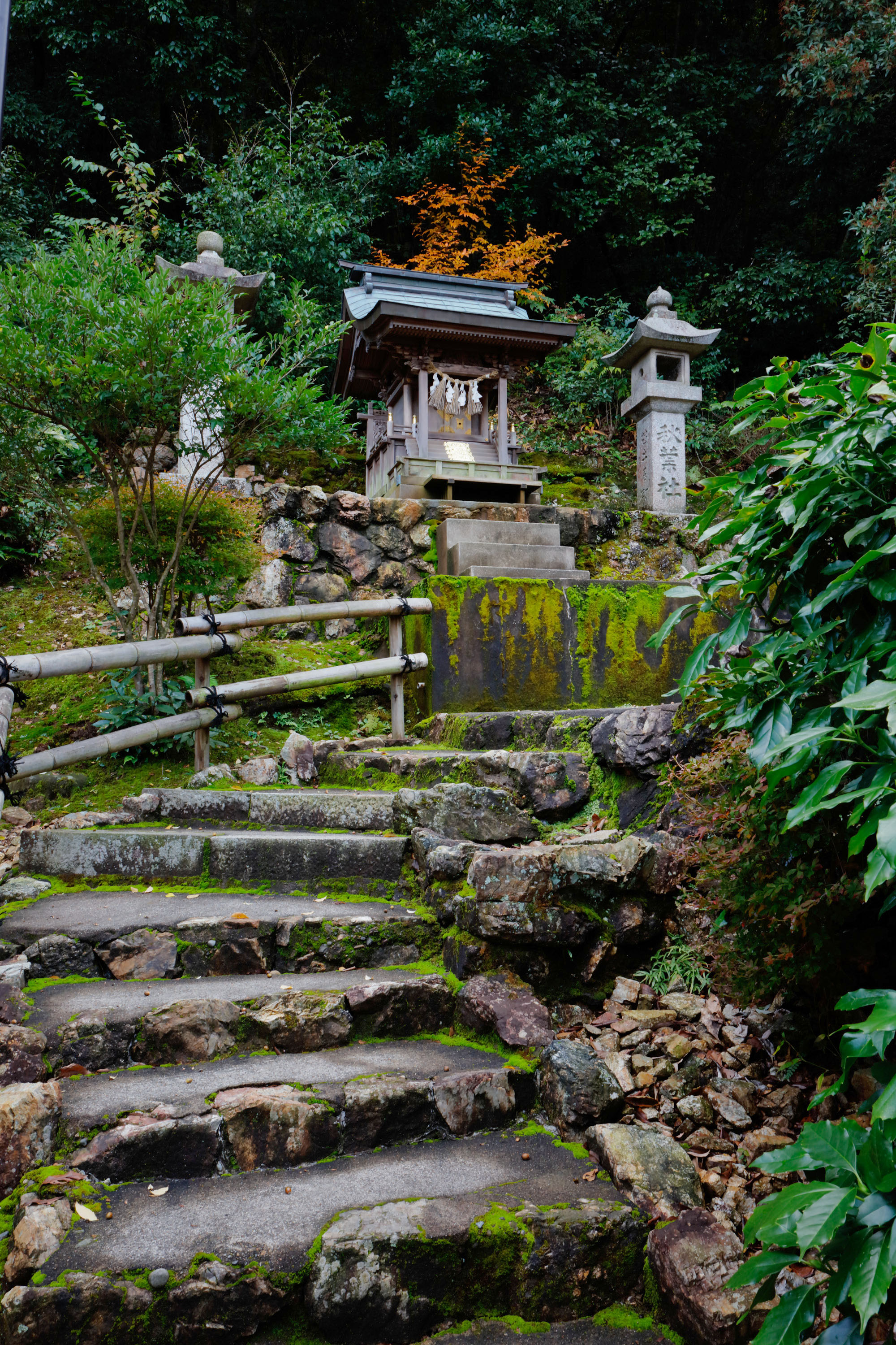 秋葉 神社