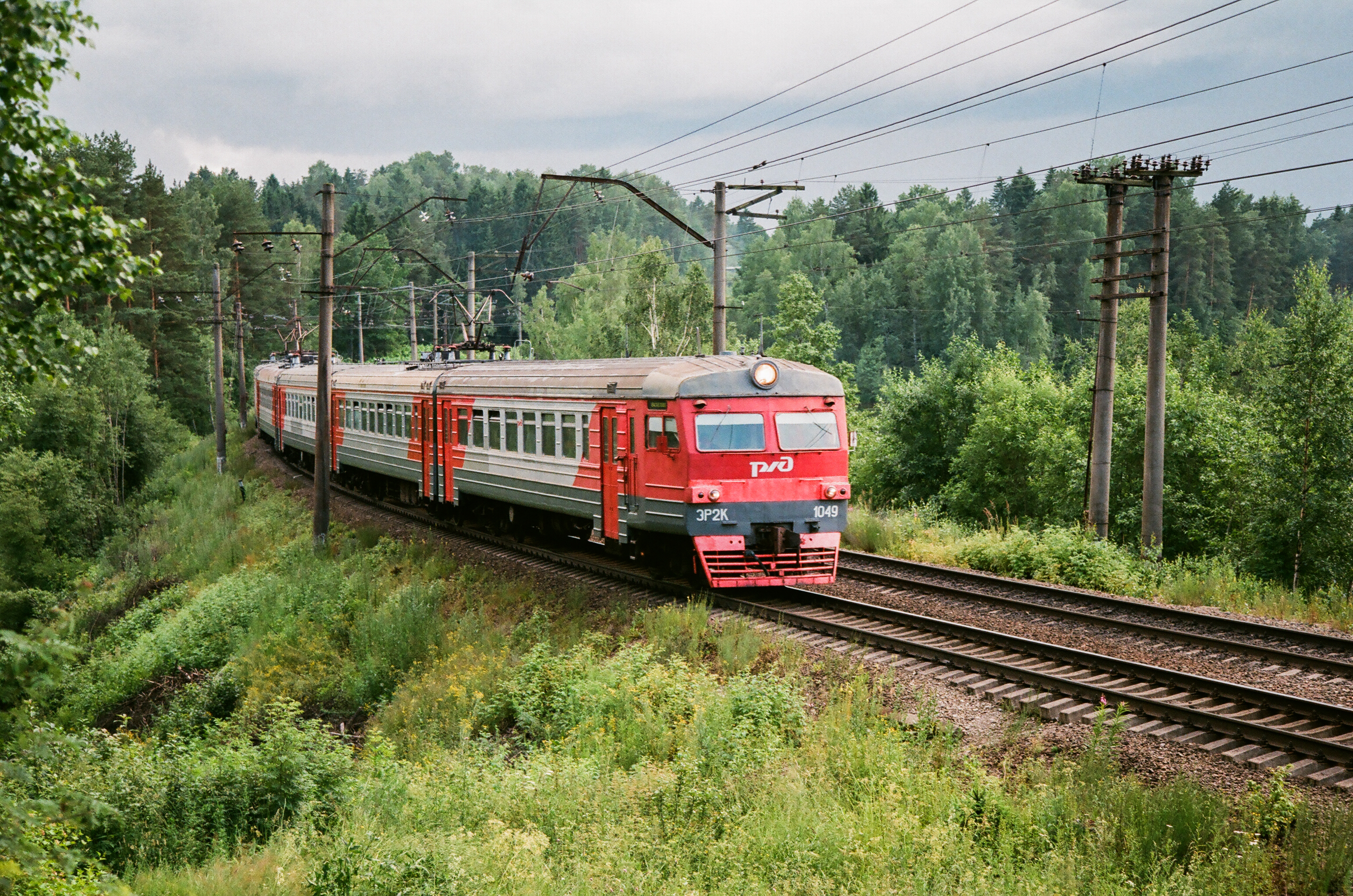 Токсово пери