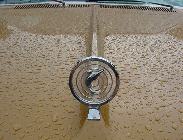 File:1967 AMC Marlin two-door fastback sungold and white-wet hood ornament.jpg