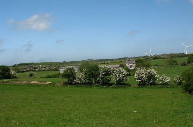 File:A line of flowering thorns at Melin Trysglwyn - geograph.org.uk - 1402847.jpg