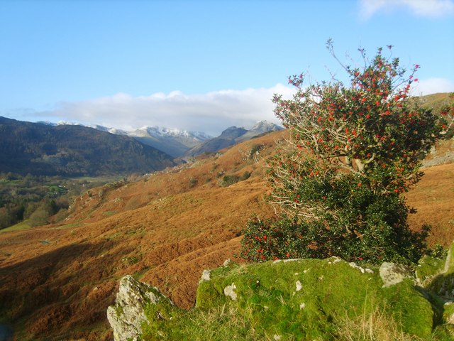 File:Above High Close - geograph.org.uk - 1601434.jpg