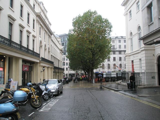 File:Autumn trees near Trafalgar Square - geograph.org.uk - 1023900.jpg