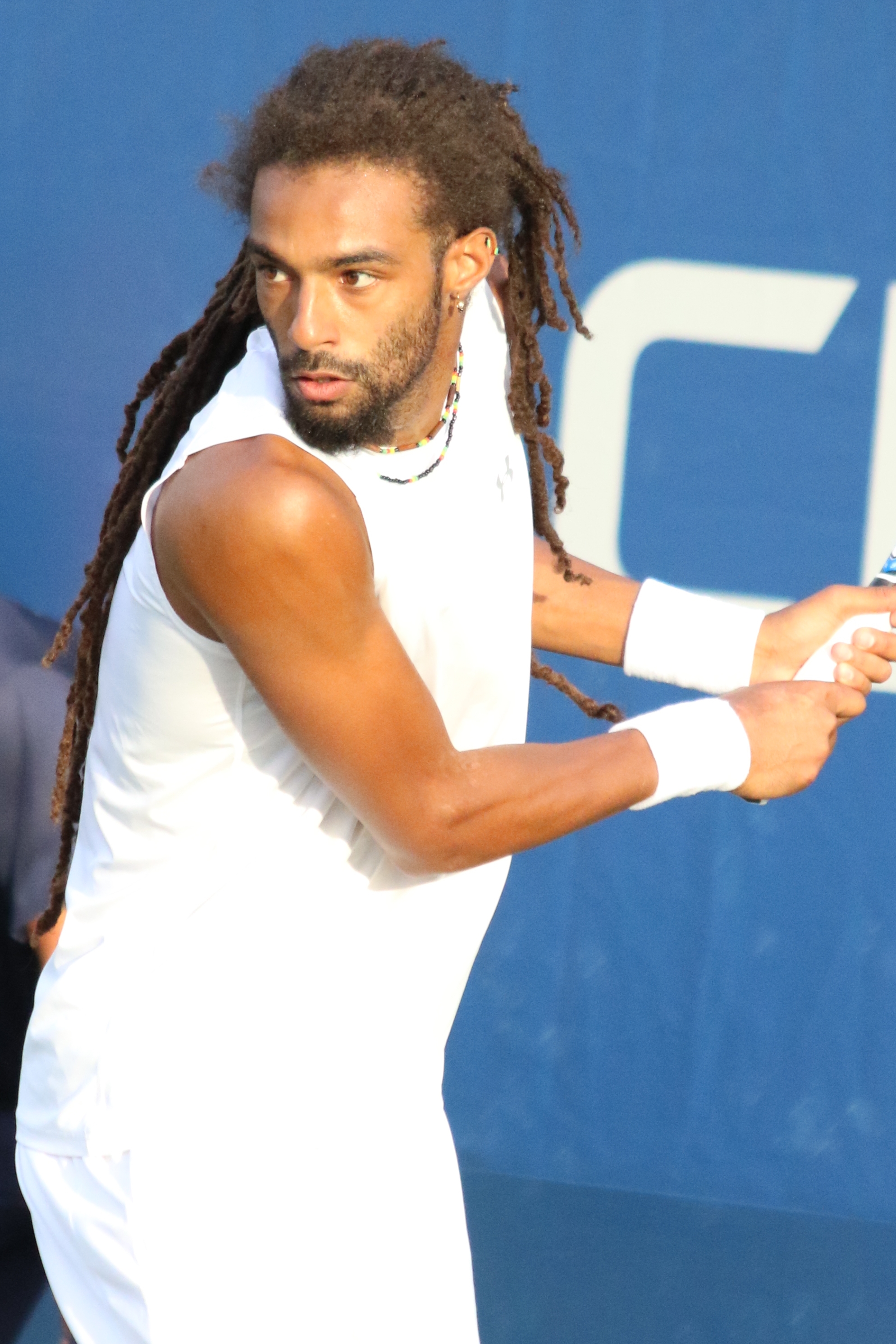 Dustin Brown Tennis Wikipedia