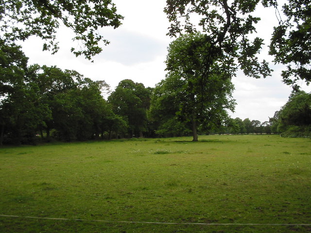 Burghfield Common - geograph.org.uk - 17552