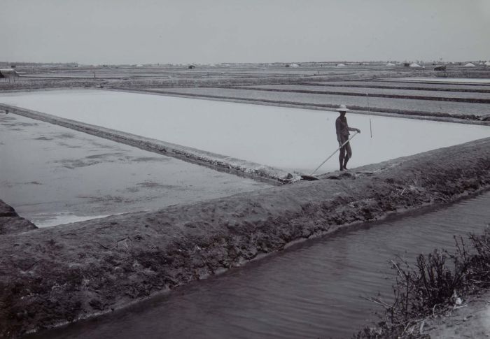 File:COLLECTIE TROPENMUSEUM Zoutwinning op een onderneming bij Kalianget Madoera TMnr 60048738.jpg