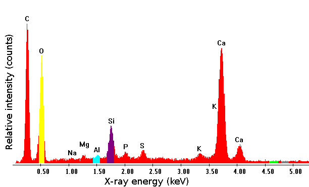 File:EDX of a poppy seed.jpg