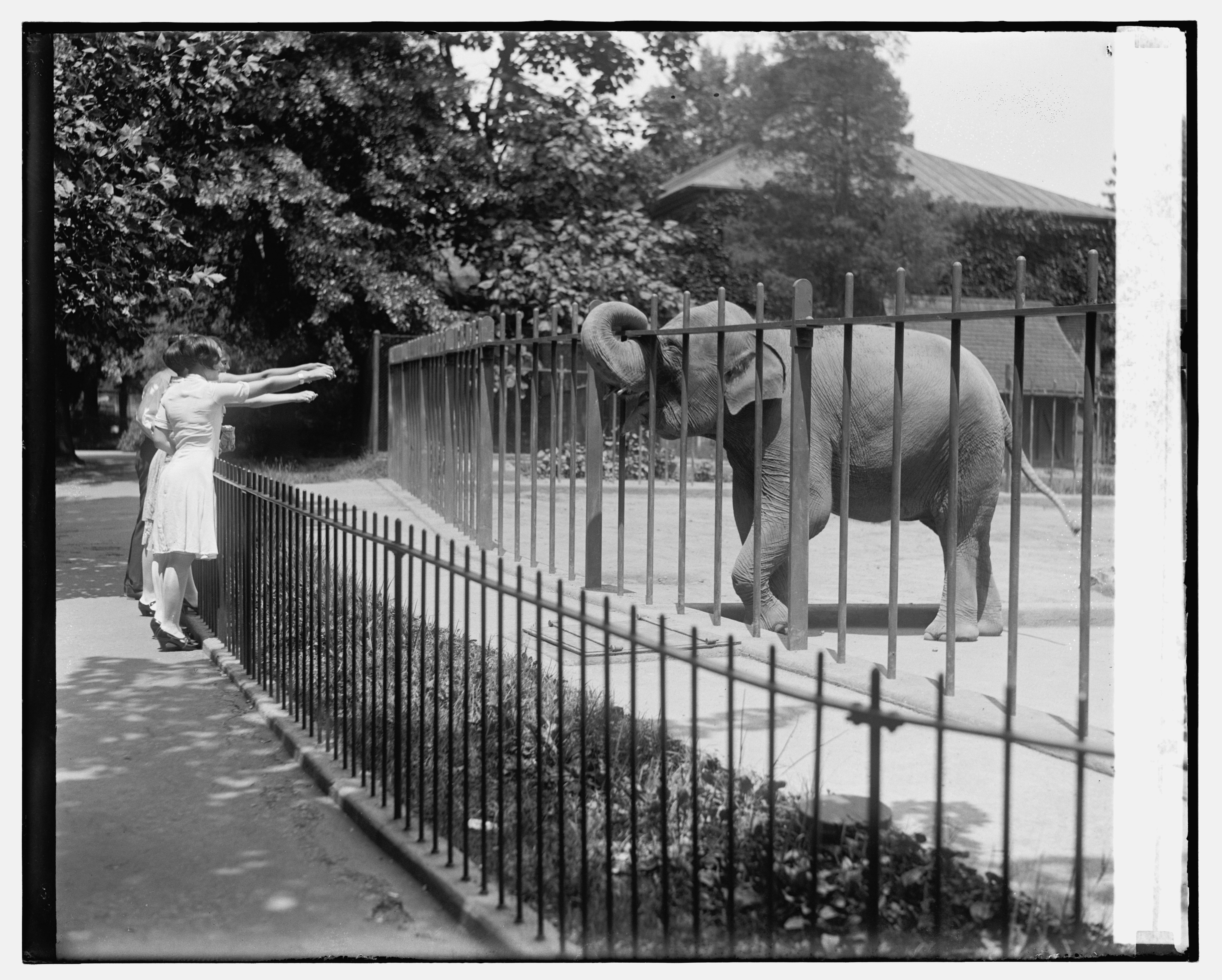 She at the zoo last month. At the Zoo in the Zoo. Jawed me at the Zoo. Olga had a good time at the Zoo.