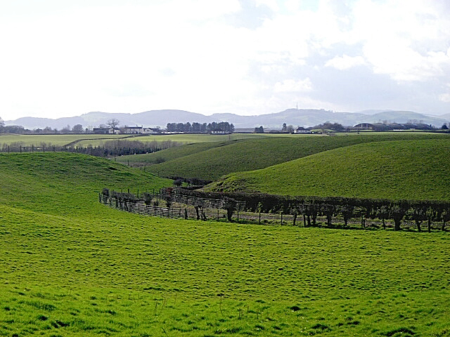 File:Fields Near Tinwald Parks - geograph.org.uk - 353704.jpg