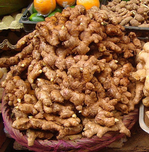 File:Ginger in China 01 (cropped).jpg