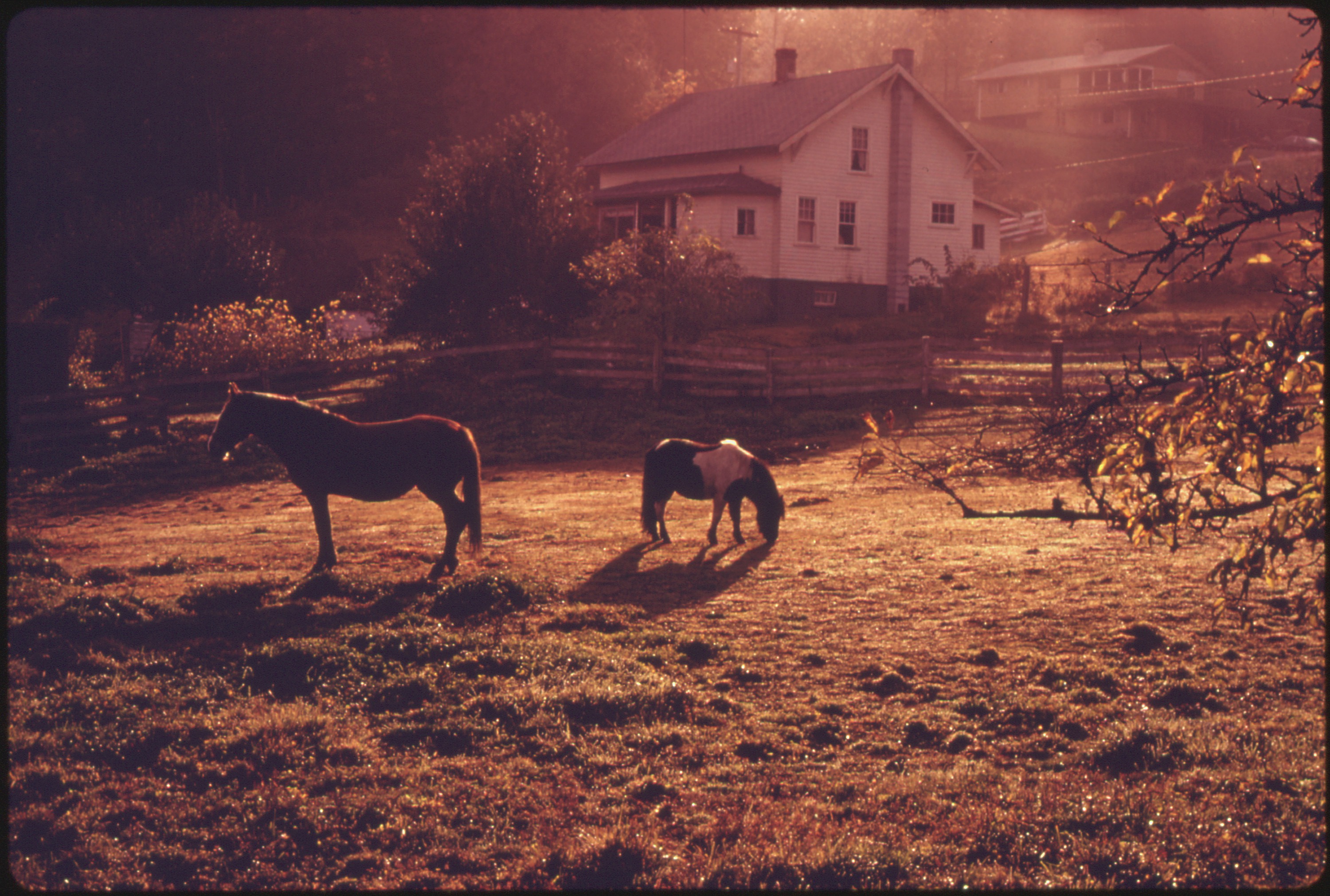 People lived living in the countryside. Пейзаж сельской местности. Лошади атмосферные. Лошади Эстетика. Лошадь возле дома.