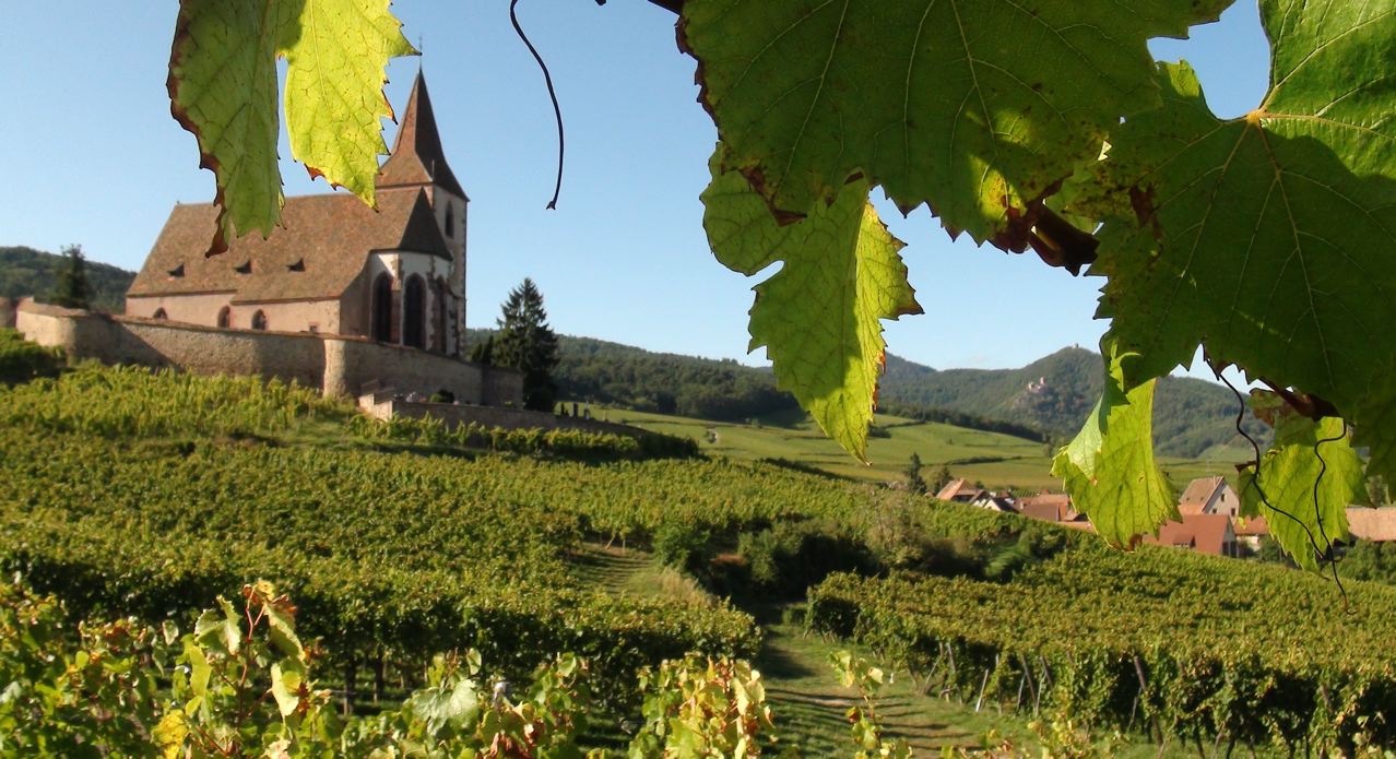 plus beaux villages à visiter en Alsace - Top 10 des plus beaux villages à visiter en Alsace - 2024 - 10
