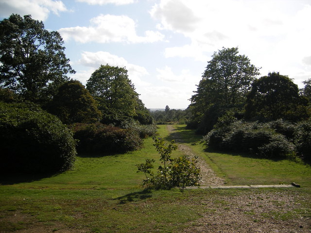 Langley Park - geograph.org.uk - 233090