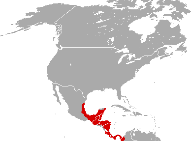 File:Mazama temama distribution1.png