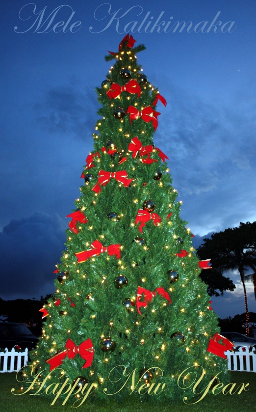 LIST: Magical Christmas festivities in Hawaii