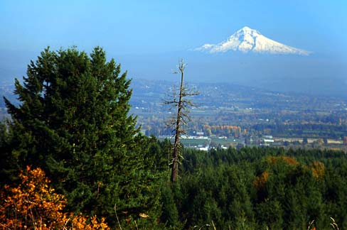 File:Mt. Hood (Washington County, Oregon scenic images) (washDA0014b).jpg