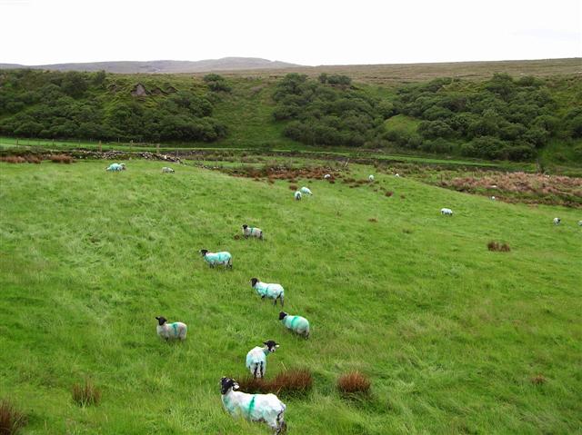 File:Owenerk Townland - geograph.org.uk - 1390733.jpg