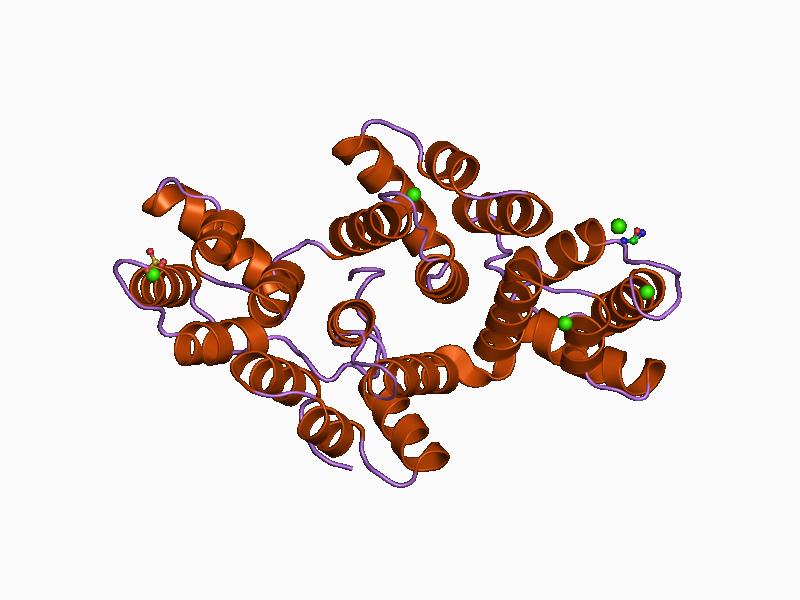 File:PDB 1aii EBI.jpg