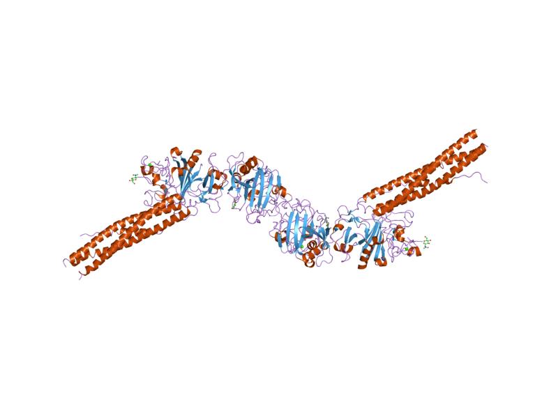 File:PDB 1n73 EBI.jpg