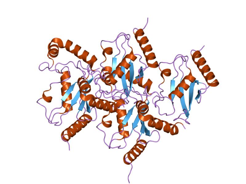 File:PDB 1x23 EBI.jpg