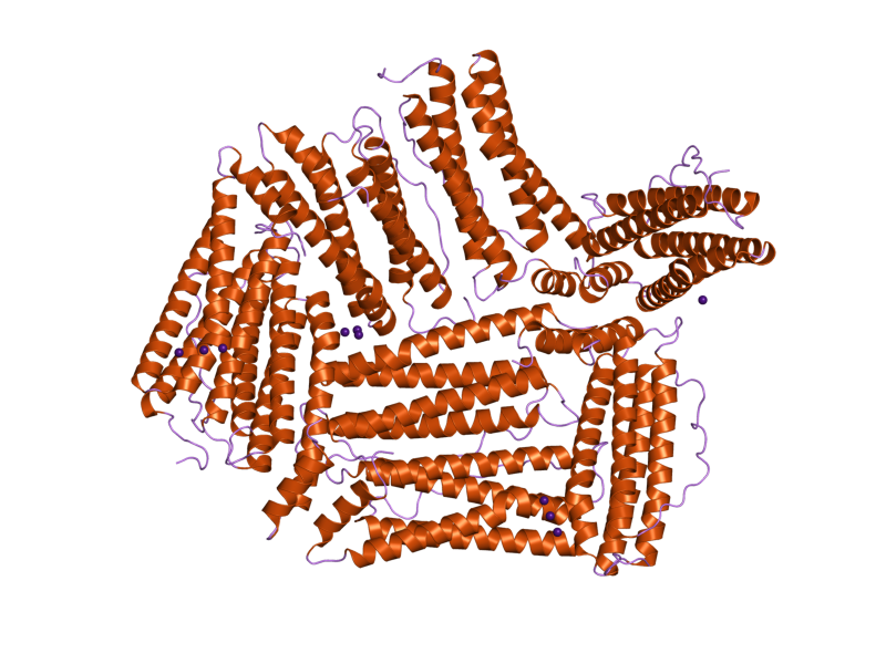 File:PDB 2fg8 EBI.png