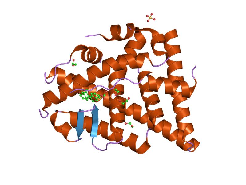 File:PDB 2j7x EBI.jpg