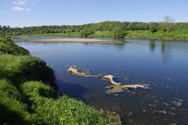 River Ribble at Brockholes - geograph.org.uk - 2395557