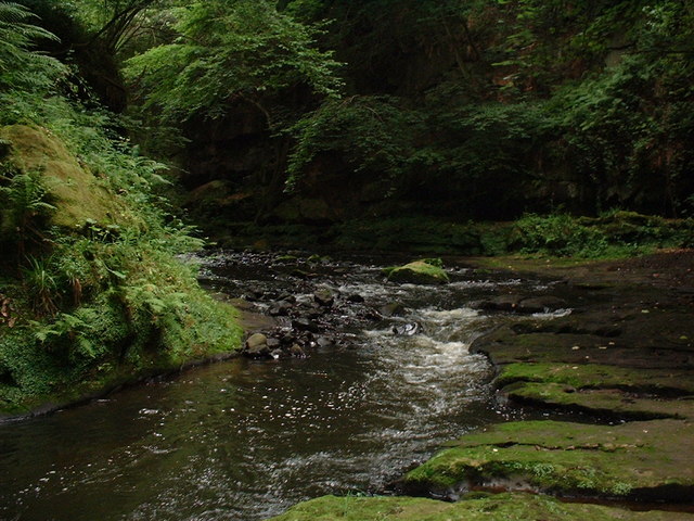 Roslin Glen - geograph.org.uk - 216778