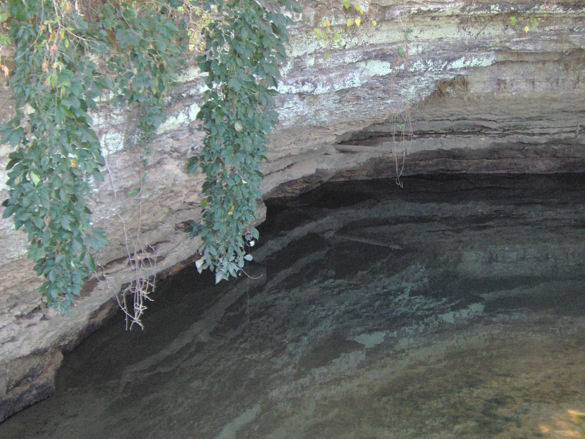 Photo of Royal Spring Park