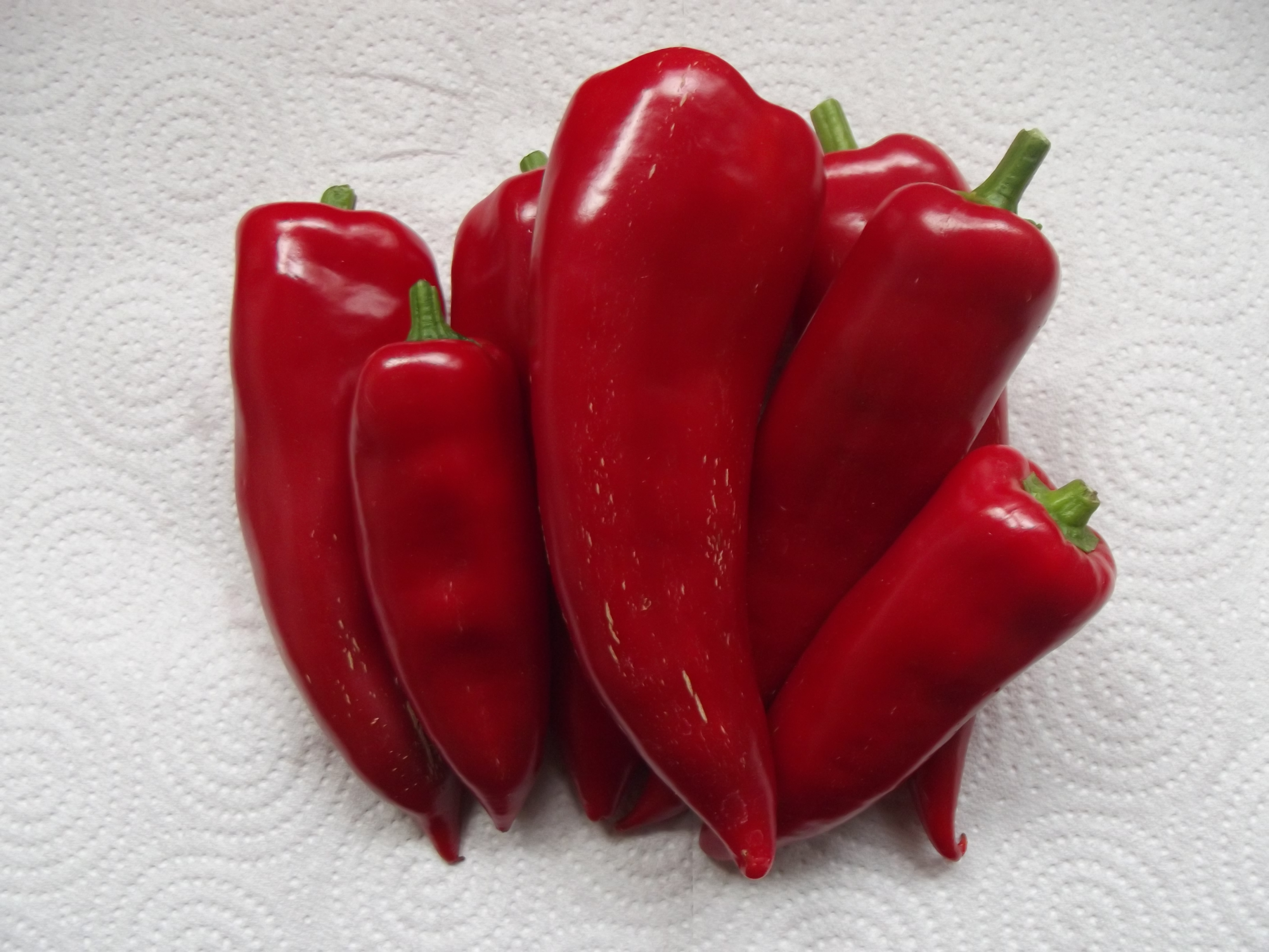 File:Spitzpaprika rot.JPG - Commons Wikimedia