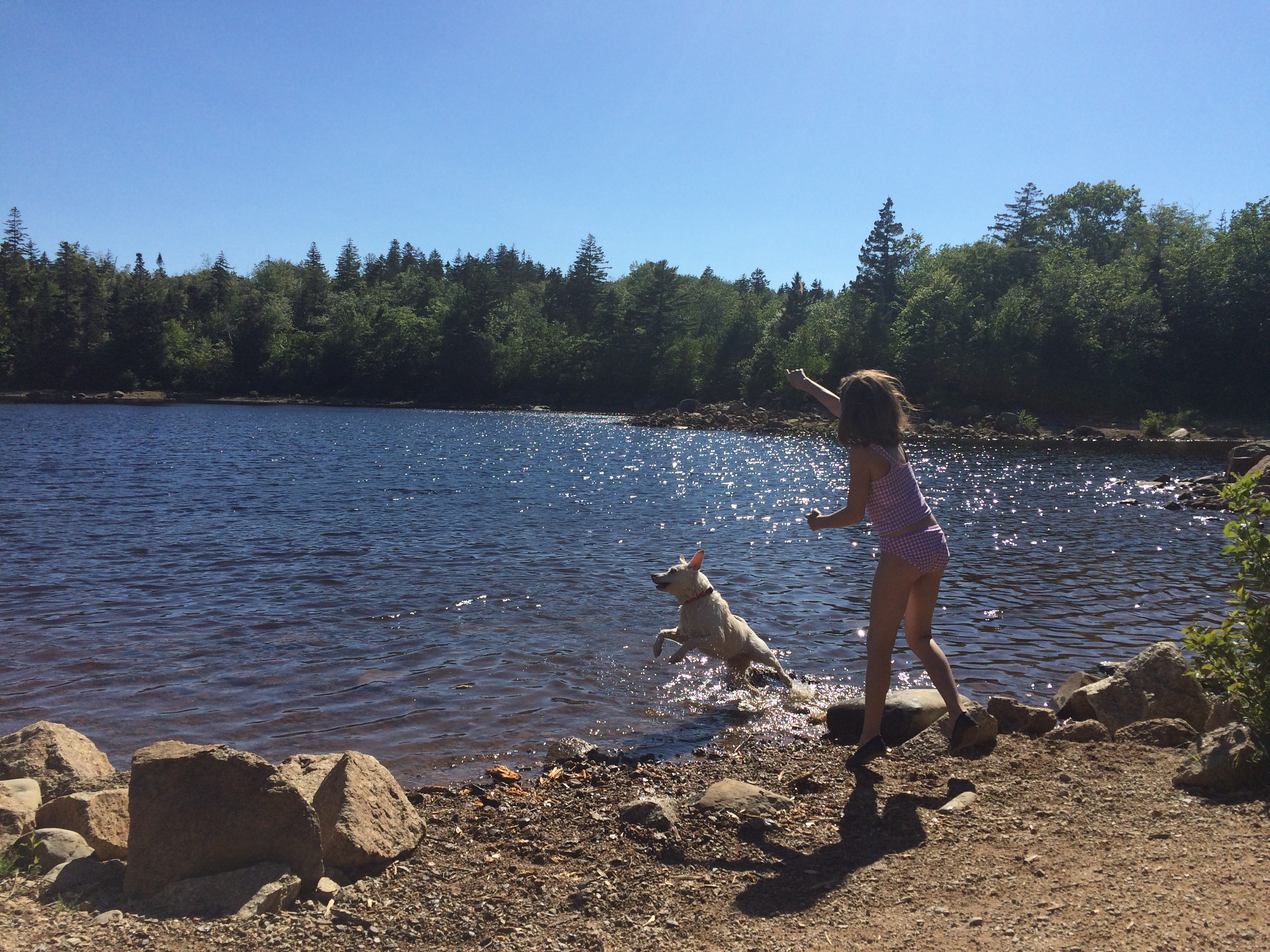 halifax nova scotia summer