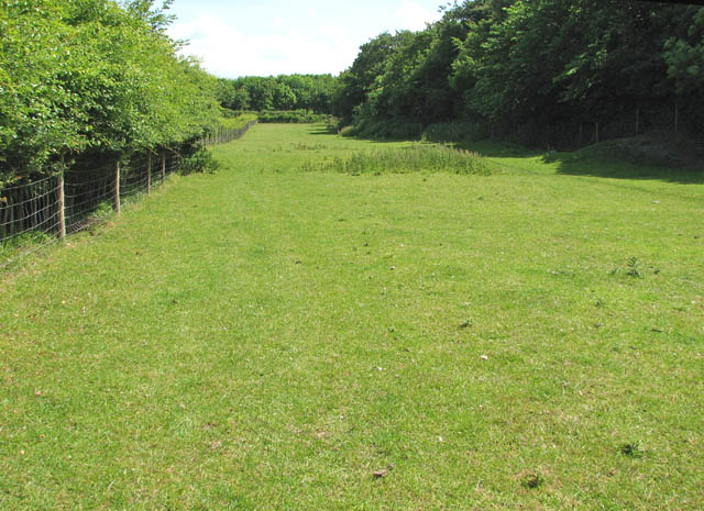 File:Tasburgh's ancient earthworks enclosure - the ditch - geograph.org.uk - 1355634.jpg