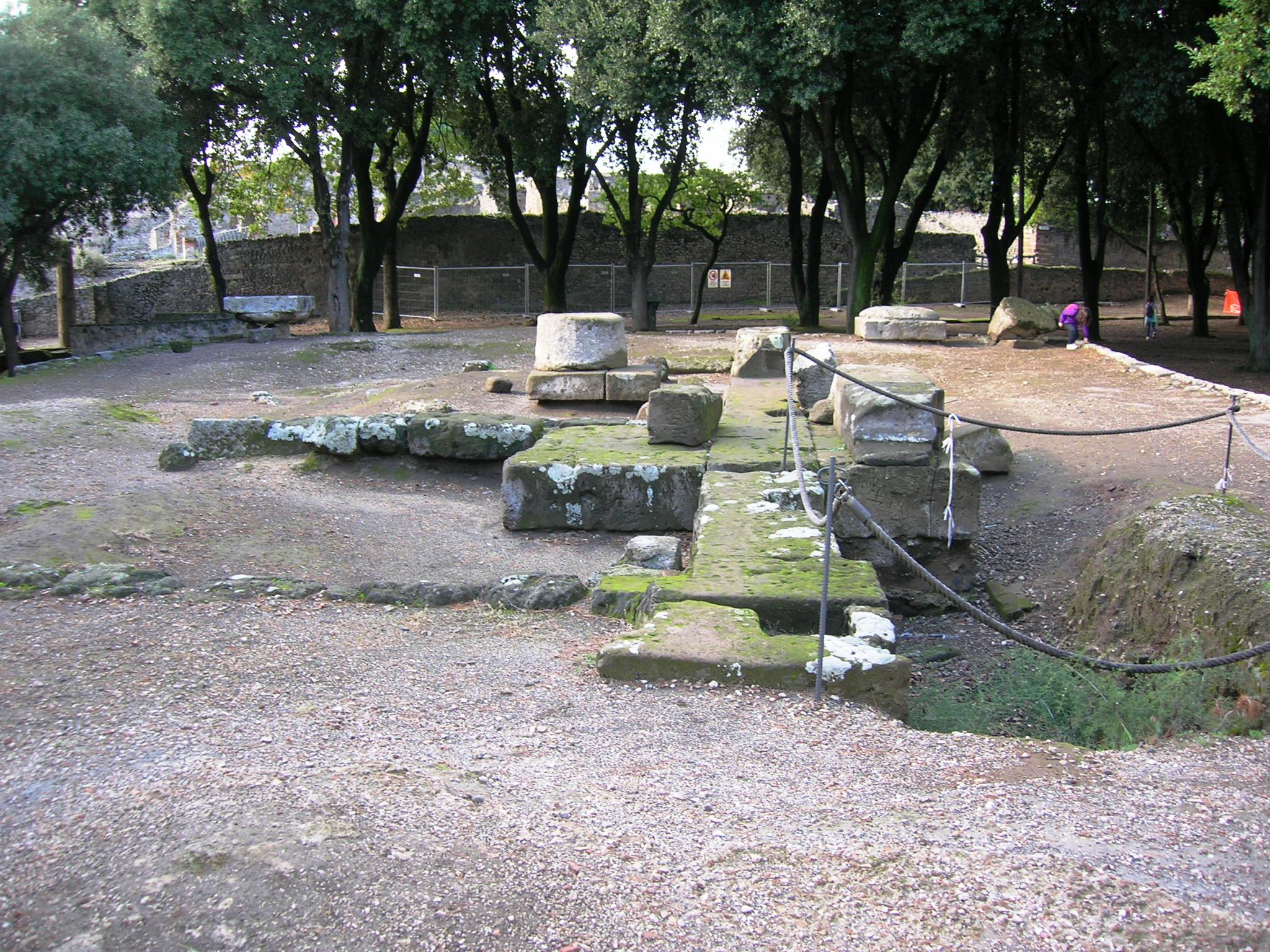 Photo of Doric temple (Pompei)