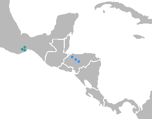 Jicaquean languages language