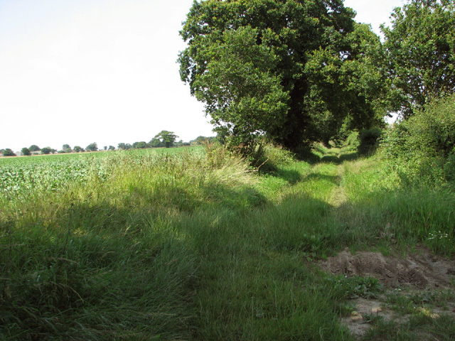 File:View north along Gipsies Lane - geograph.org.uk - 4068387.jpg