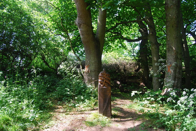 Wooden Carving, Dyke Wood - geograph.org.uk - 1914717