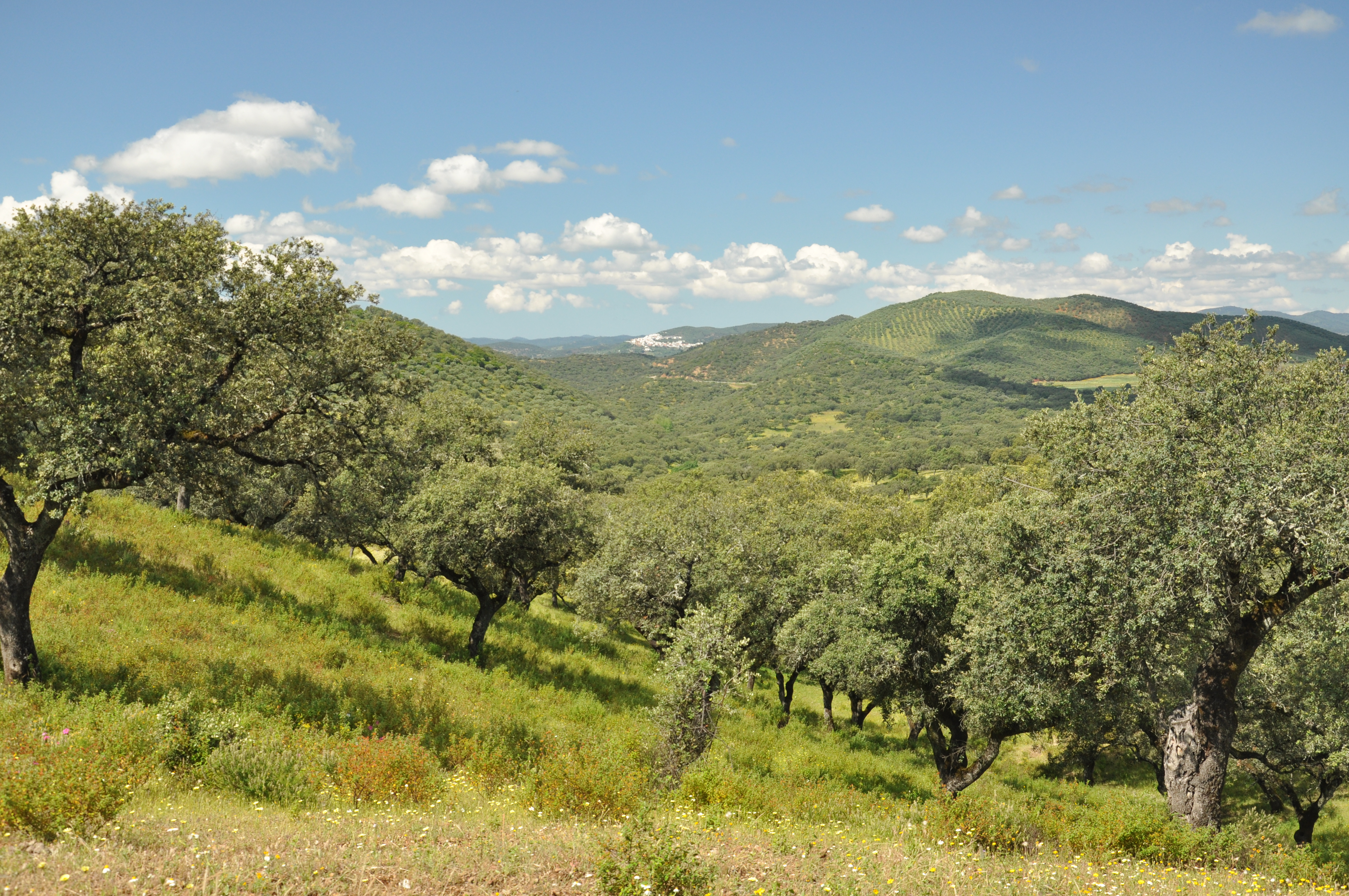 Sierra de Aracena y Picos de Aroche.jpg - Wikimedia Commons