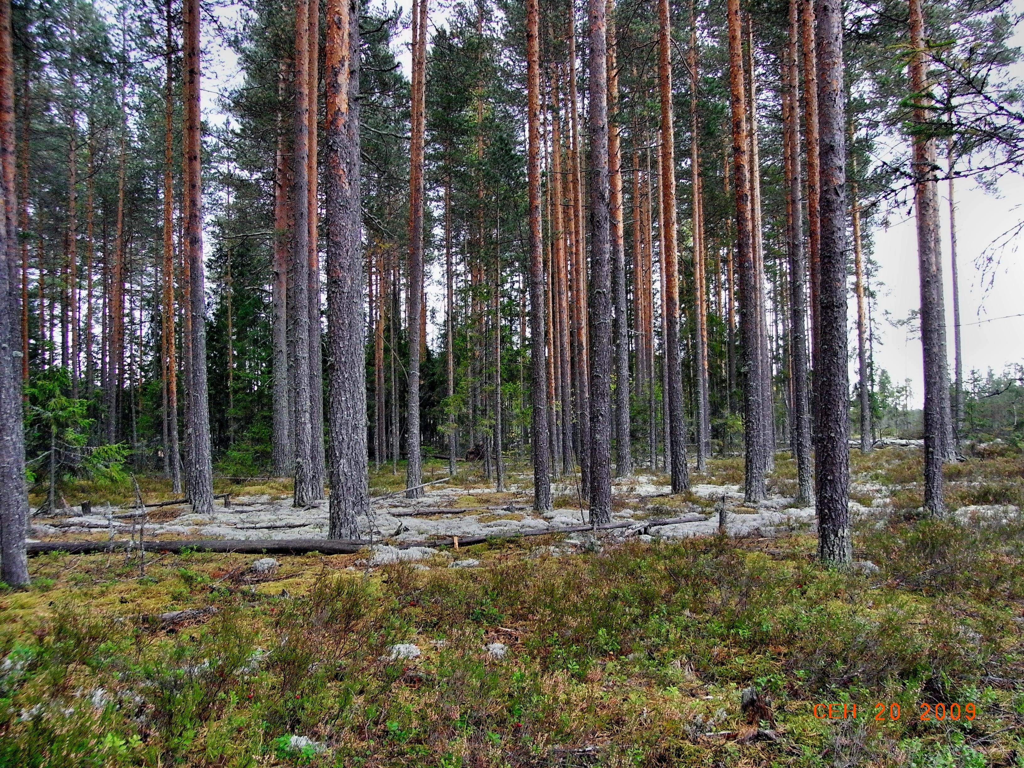 фото устюженского района