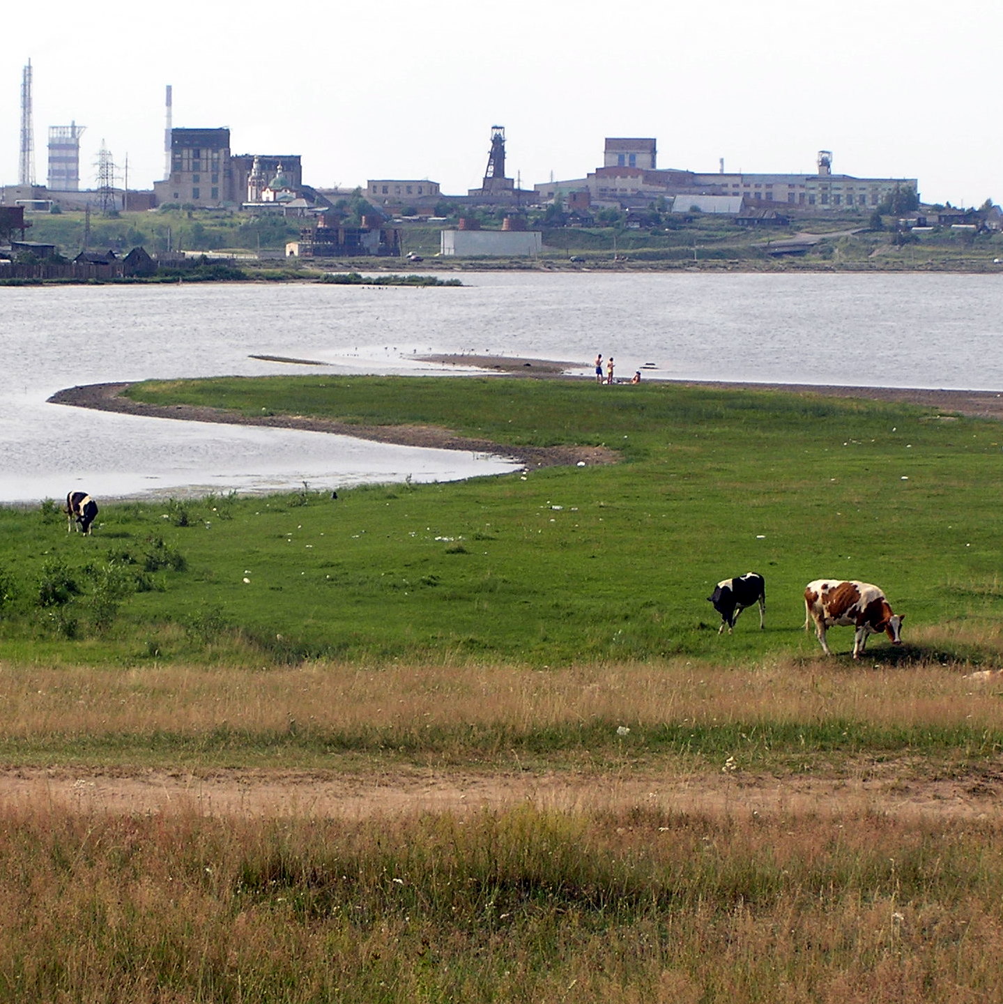 Березниковский городской округ — Википедия