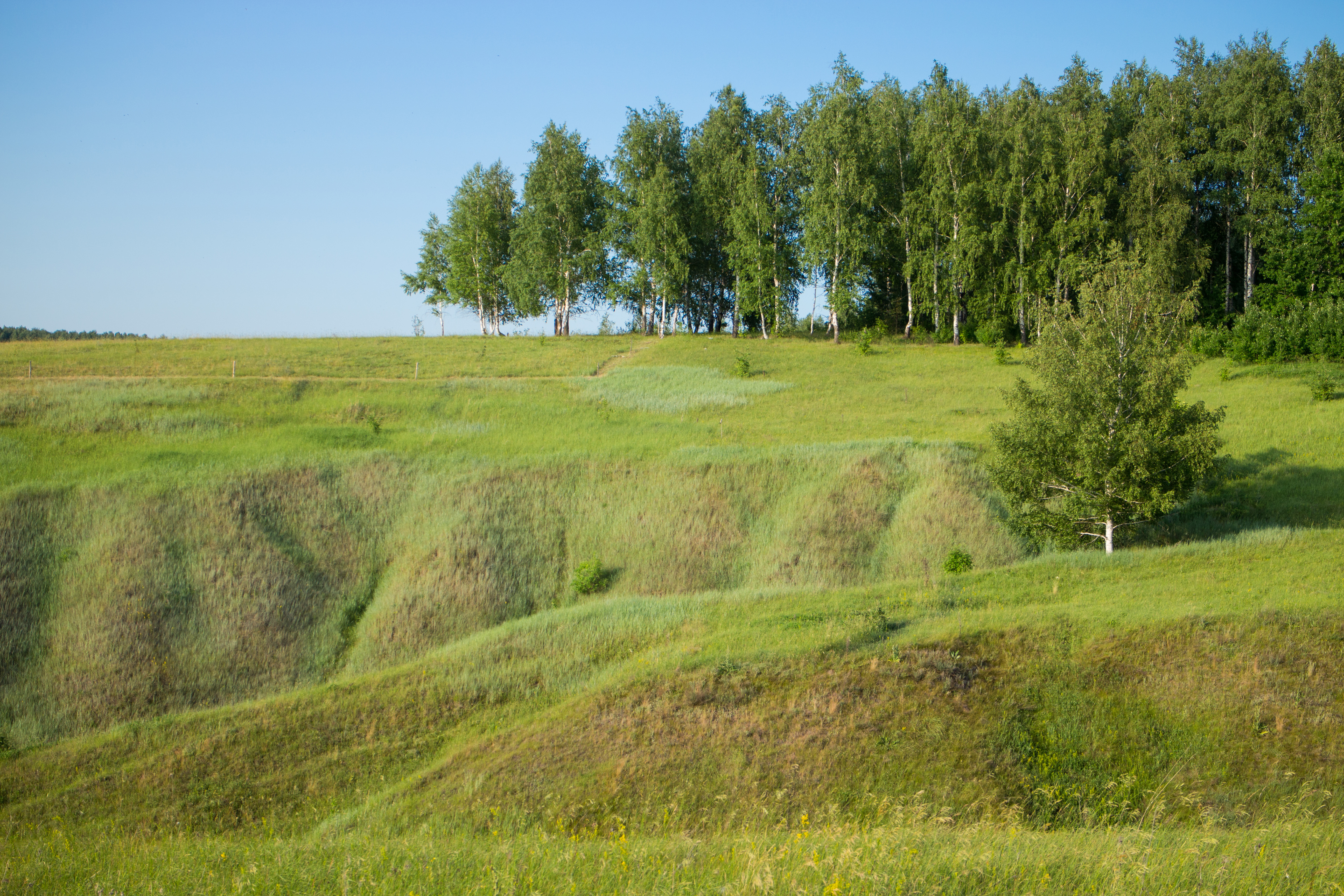 Погода в лысой горе. Лысая гора Инжавино. Лысая гора Пермский край. Лысая гора Харьков. Лысая гора в Псковской области.