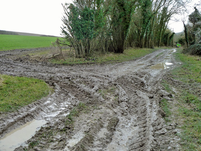 File:A muddy track - geograph.org.uk - 2269969.jpg