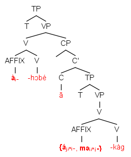 The affix indicating person, à, in the embedded clause and the affix indicating logophoricity, mə, can occupy the same syntactic position, yet they refer to different individuals.