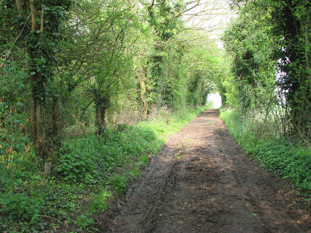 File:Approaching Whitwell Road - geograph.org.uk - 1254813.jpg