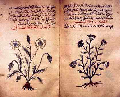 Dosiero:Arabic herbal medicine guidebook.jpg